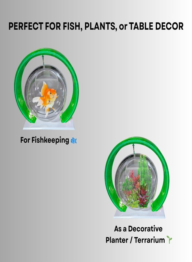 حوض سمك دائري أخضر مزدوج 6 بوصات - حوض سمك زخرفي قائم ومعلق للمنزل والمكتب | حوض سمك دائري مزدوج 2 في 1 - Image 4